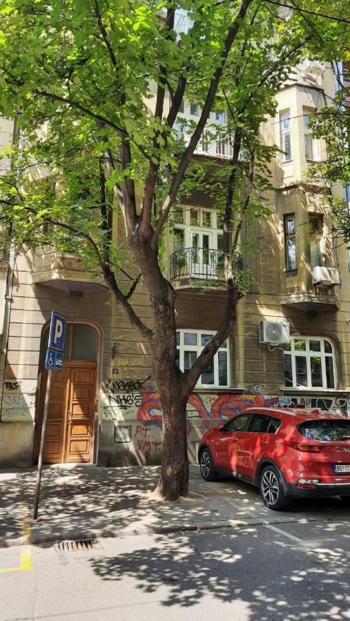 Duplex Studio Mansarda Διαμέρισμα Βελιγράδι Εξωτερικό φωτογραφία