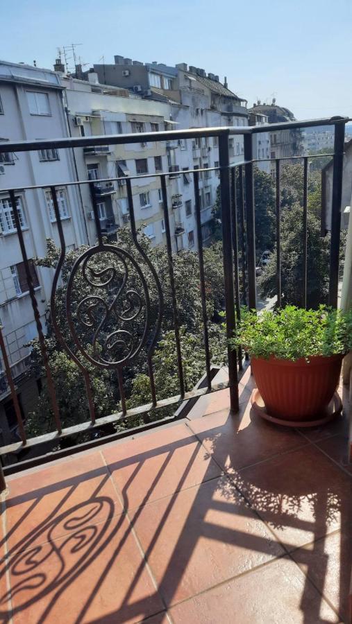 Duplex Studio Mansarda Διαμέρισμα Βελιγράδι Εξωτερικό φωτογραφία